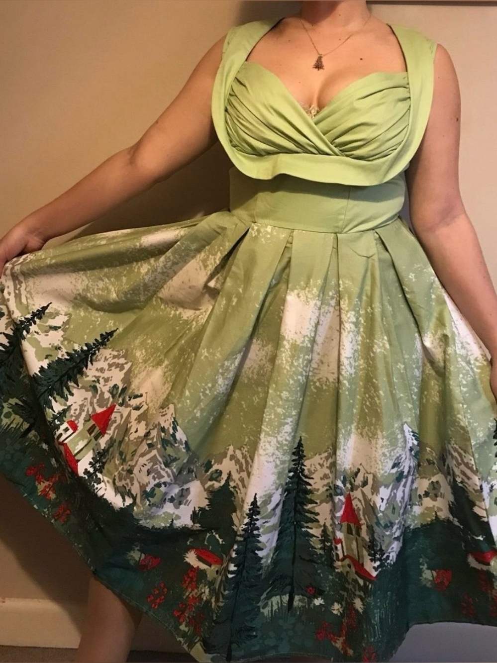 Green Vintage-Inspired Fit & Flare Dress with Scenic Swiss Alps Print, plus XXL